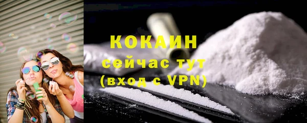ГАЛЛЮЦИНОГЕННЫЕ ГРИБЫ Липки
