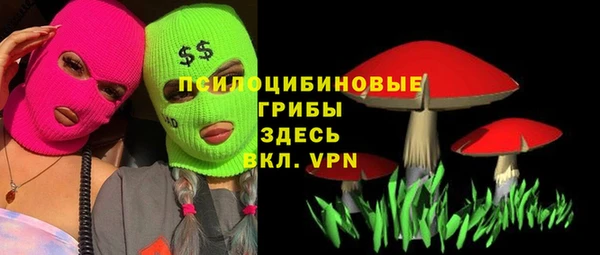 ГАЛЛЮЦИНОГЕННЫЕ ГРИБЫ Липки