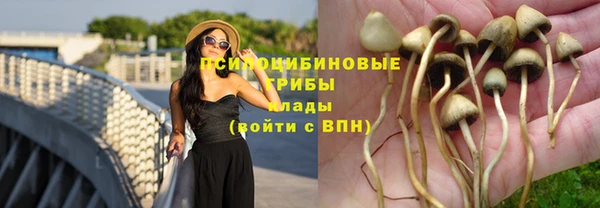 ГАЛЛЮЦИНОГЕННЫЕ ГРИБЫ Липки