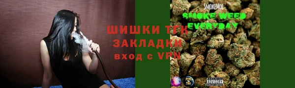 ГАЛЛЮЦИНОГЕННЫЕ ГРИБЫ Липки