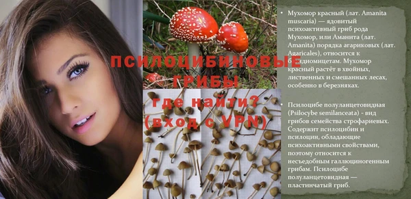 ГАЛЛЮЦИНОГЕННЫЕ ГРИБЫ Липки
